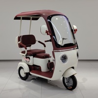 Nouveau tricycle électrique pour adultes en vente