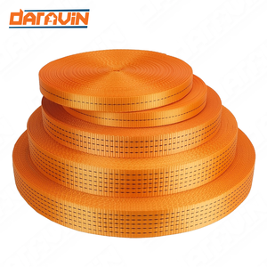 Tùy chỉnh Polyester Vải dây đeo nặng 2.5cm 3.8cm 5cm tùy chọn màu sắc đầy màu sắc cho <span class=keywords><strong>Webbing</strong></span> Sling - Product Image 1
