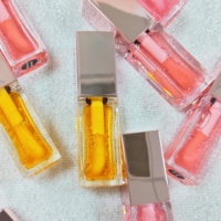 Nouveau Lip Plumper Maquillage Lip Plumper Liquide Vegan Lipgloss Fruit Saveur Maquillage Vegan 3 Couleurs Rose Or Tube Huile À Lèvres