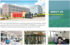 Fábrica mejorada, precio <span class=keywords><strong>de</strong></span> aceite puro - Product Image 5