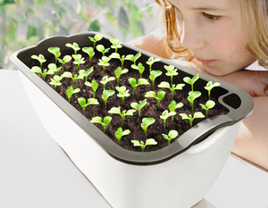 SQ36 <span class=keywords><strong>Jardinière</strong></span> rectangulaire en plastique grande taille pour <span class=keywords><strong>balcon</strong></span> familial, pot de fleurs à arrosage automatique, idéal pour fraises et légumes - Product Image 5