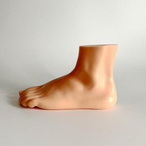 Modèle d'anatomie transversale latérale du <span class=keywords><strong>pied</strong></span> humain, avec affichage coloré des os, des ligaments et des muscles, pour l'enseignement de la biologie et de la podologie - Product Image 3