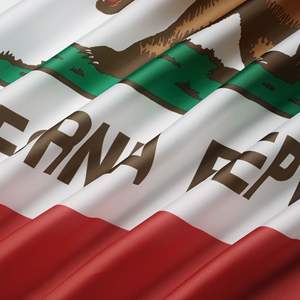 Drapeau de l'État de Californie 3x5 pieds en polyester, accessoire de décoration, style à suspendre, imprimé en sérigraphie pour activités promotionnelles - Product Image 6