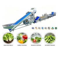 Commerciële was- en snijlijn voor bladgroenten met mixer en friteuse voor de verwerking van verse gesneden salade en fruitpersmachine