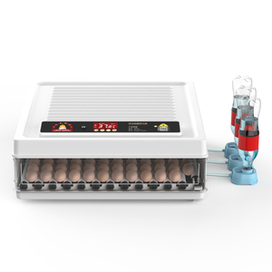 Incubateurs à 48 œufs pour œufs à couver avec retourneur automatique de la température, petit éclosoir numérique pour poulets et oiseaux - Product Image 6