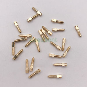 Poteau de vis plaqué <span class=keywords><strong>or</strong></span> <span class=keywords><strong>dentaire</strong></span>/poteau de vis matériel d'<span class=keywords><strong>implant</strong></span> <span class=keywords><strong>dentaire</strong></span> à bas <span class=keywords><strong>prix</strong></span>/poteau de vis conique <span class=keywords><strong>dentaire</strong></span> plaqué <span class=keywords><strong>or</strong></span> 120 pièces - Product Image 6