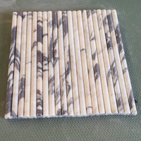 Carreaux de mur de douche imperméables en marbre Calacatta Viola moderne SH STONE pour salle de bain et salon
