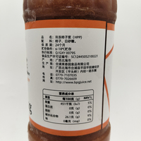 Bevroren Persimmon Puree Zoet Kantoor School Familie Delen Tropisch Fruit Sap