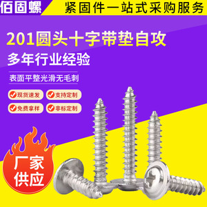 201 Stainless Steel Phillips Pan Head Self Tapping Screws M2 M3 M4 M5 For Metal Construction Industry - Product Image 5