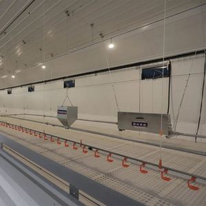 New Small Capacity Henhouse Coop Farm <strong>Chicken</strong> Poultry Layer Broiler Breeder Farming <strong>Raising</strong> Growing <strong>Feed</strong> Chain Equipment System - Product Image 3