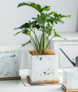 Maceta de orquídeas y mariposa nórdica, cerámica creativa de lujo, <span class=keywords><strong>con</strong></span> bandeja, gran oferta - Product Image 6
