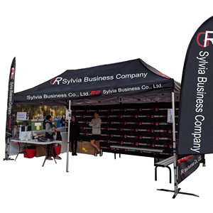 Heavy Duty Personnalisez 10ftx20ft Auvent Tente En Aluminium <span class=keywords><strong>barnum</strong></span> Publicité Gazebo avec logo - Product Image 2