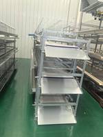 Nouveau système d'alimentation automatique pour cages à poulets de type H, en acier inoxydable et acier galvanisé, facile à utiliser, pour l'élevage commercial de poules pondeuses