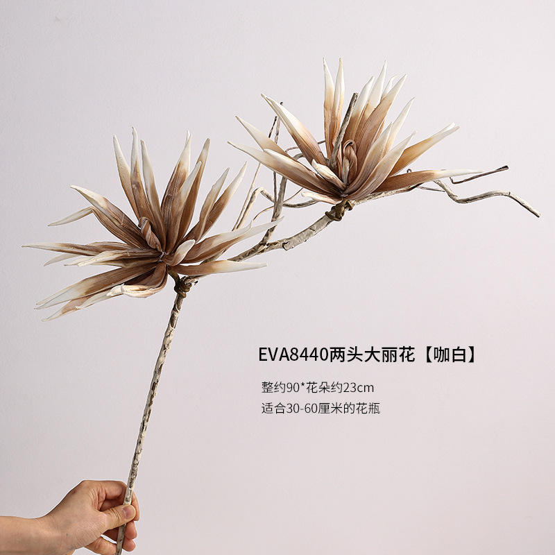 ดาห์เลียสองหัว สีกาแฟ