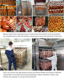 Horno de ahumado de salchichas y pescado automático barato, máquina de fumigación de pescado y secado, equipo de cámara para fumar carne - Product Image 5