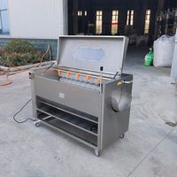 Machine à éplucher les pommes de terre automatique industrielle à brosse Haute efficacité Facile à nettoyer pour les patates douces, les carottes, le gingembre, le yam