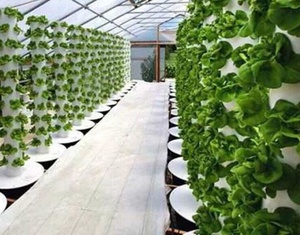 Tour de culture verticale hydroponique <span class=keywords><strong>et</strong></span> aéroponique miniature pour usage familial, ferme ou jardin, pour <span class=keywords><strong>la</strong></span> culture de légumes-feuilles <span class=keywords><strong>et</strong></span> de fraises - Product Image 2