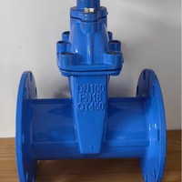 Vanne à opercule universelle à joint souple DN40-DN200, grand diamètre, température normale, 2 cadenas, norme nationale