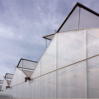 Serres agricoles multi-travées à structure en acier galvanisé avec toit papillon pour la culture des légumes