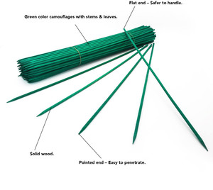 12 Inch/18 Inch Long Dyed Green Color Natural Bamboo Sticks for Gardening <strong>Flower</strong> <strong>Supporting</strong> - Product Image 1
