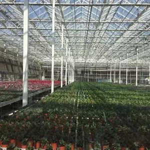 Rdwc sistema hidropónico de <span class=keywords><strong>manta</strong></span> térmica invernadero <span class=keywords><strong>para</strong></span> cría de caracol - Product Image 6