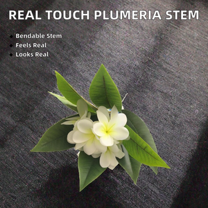 Nouvelle Arrivée Fleur de Plumeria Imprimée en 3D Réaliste avec <span class=keywords><strong>Tige</strong></span> Flexible - Plante Écologique au Toucher Réel pour Vase de Mariage et Décoration de Table - Product Image 2