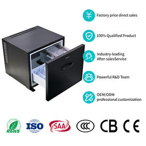 <span class=keywords><strong>Mini</strong></span> refrigerador de barra de 40L, <span class=keywords><strong>mini</strong></span> refrigerador individual de 40L, refrigerador termoeléctrico usado con cajón de enchufe americano - Product Image 6