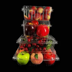 Wholesale Disposable Clear Plastic Fruit Clamshell Punnet Box Packaging Container