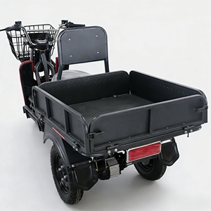 Moto hybride 3 roues à forte capacité de chargement pour la ville, 1000W, moto tout-terrain 3 roues, vente chaude en Inde - Product Image 1