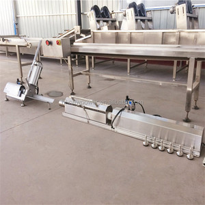 Machine automatique de remplissage et de pressage de blocs de viande congelée (mouton, bœuf) et de découpeuse-clippeuse de saucisses - Product Image 4