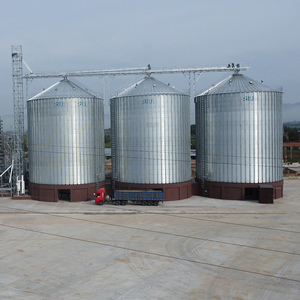 Силосы для соевого шрота с плоским дном по индивидуальному заказу 2000T-15000T емкостью для хранения кукурузы - Product Image 5