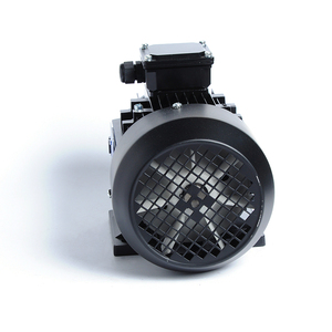Motor Asíncrono Trifásico de CA de 4 Polos, Serie Y2, 3000-1500 rpm, 1.5KW, Carcasa de Aluminio B3, 50Hz, 380V - Product Image 3