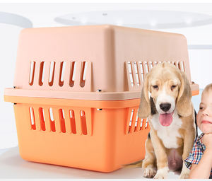 Fabriek Groothandel Draagbare <span class=keywords><strong>Plastic</strong></span> Huisdier Transportkooi Luchtvaartmaatschappij Kat En Hond Drager Poorten En Pennen - Product Image 1
