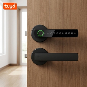 Tuya App kunci pintu biometrik, kunci pintu cerdas sidik jari biometrik kata sandi, pegangan listrik, kamar tidur, kayu rumah, kunci pintu Cerradura - Product Image 1