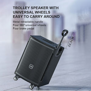150W Trolley <b>Speaker</b> With Wireless <b>Microphone</b> Customized LOGO Outdoor Party Stage Large Trolley <b>Speaker</b> With Wirel - Product Image 2