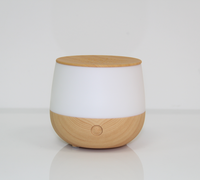 Vendeur chaud Mini diffuseur d'arôme parfum Grain de bois diffuseur d'air arôme Usb humidificateurs portables à ultrasons