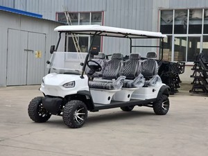 豪华四轮高尔夫车公园观光车（可定制颜色） - Product Image 5
