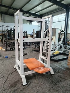 Máquina de <span class=keywords><strong>prensa</strong></span> de <span class=keywords><strong>piernas</strong></span> vertical comercial OEM/ODM, equipo de <span class=keywords><strong>prensa</strong></span> de <span class=keywords><strong>piernas</strong></span> lineal personalizado para entrenamiento en gimnasio, cadena de suministro estable - Product Image 6