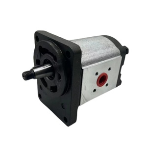 Moteur à engrenages hydraulique externe Lainuo Série PHM PHM10.12D0-82E1-LBD/BC-N PHM20.25S0-83E2-LGF/GF-N PHM20.40R0-84E2-LED/EC-N - Product Image 6