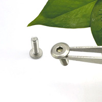 M2 M2.5 M3 M4 M5 M6 M8 Acier inoxydable SS304 Vis à métaux à tête plate et à six pans creux à profil bas