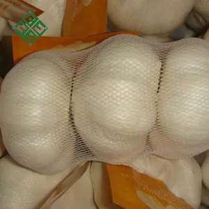 large fresh pure white garlic specifications