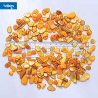 Éclats de coquillages naturels irréguliers et colorés pour les créations de mosaïque DIY et la décoration peinte à la main