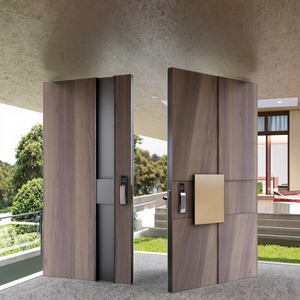 Zs Tùy Chỉnh Hiện Đại Chống Trộm Nhôm & Thép Trục Lối Vào Ngoài Trời Sử Dụng Bên Ngoài Cho Biệt Thự Chính Phía Trước An Ninh Nhập Cửa - Product Image 5