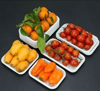 Barquettes alimentaires jetables en PP de qualité alimentaire, classiques, pour la vente en gros, compatibles micro-ondes, pour le camping, les restaurants et les fêtes