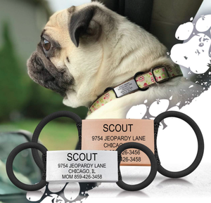 Targhetta Personalizzata <span class=keywords><strong>per</strong></span> Animali Domestici, Set Regalo alla Moda con Nome e Telefono Incisi <span class=keywords><strong>per</strong></span> Cani e <span class=keywords><strong>Gatti</strong></span> - Product Image 5