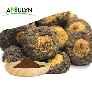 Polvo de raíz de Maca negra pura de grado alimenticio <span class=keywords><strong>para</strong></span> mejorar <span class=keywords><strong>la</strong></span> depresión - Product Image 5