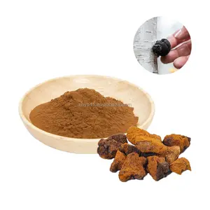 Bán buôn Hữu Cơ Chaga chiết xuất bột inonotus obliquus bột Chất lượng cao 30% polysaccharides Chaga nấm chiết xuất