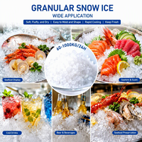 Machine à glace granulaire R404A à refroidissement par eau, production quotidienne de 500 kg, pour comptoirs de présentation de fruits de mer et magasins de vente de poisson