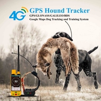 Nouveau collier de chien étanche IP67 personnalisé en gros dispositif de suivi GPS de 10 milles de portée 4G GSM fabriqué à partir de silicone pour chiens de chasse