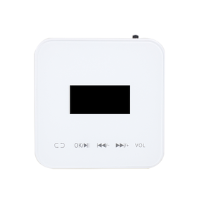 Like BA-220X Âm Thanh Hệ Thống Âm Thanh Gia Đình Thông Minh Giá Rẻ Âm Nhạc Màn Hình Cảm Ứng 2*20W Bộ Khuếch Đại <span class=keywords><strong>Bluetooth</strong></span> Gắn Tường - Product Image 1